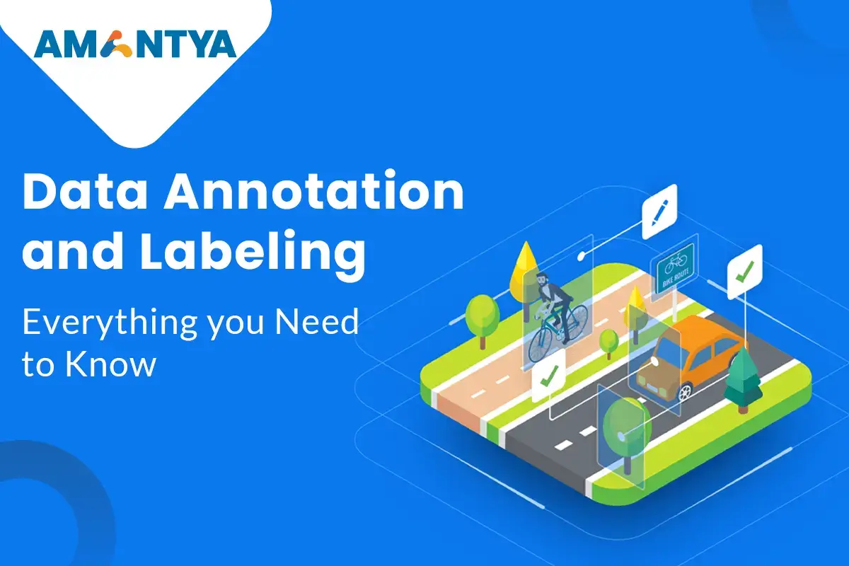 data-annotation-and-labeling.webp